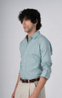 TAILORAEDGE Classic Fused Linen Shirt In Green